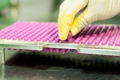 omnica_factory_photo_10